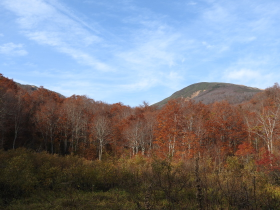 f0118332_01210293.jpg