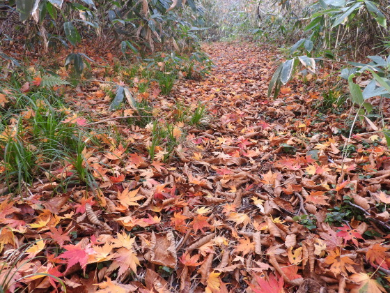 f0118332_01221828.jpg