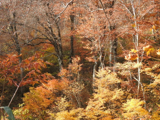 f0118332_01232533.jpg