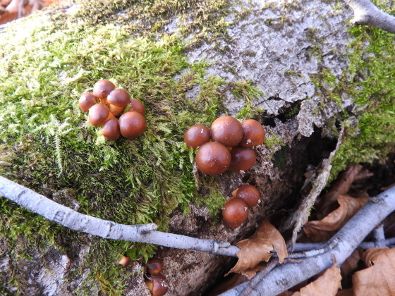 f0118332_01234079.jpg