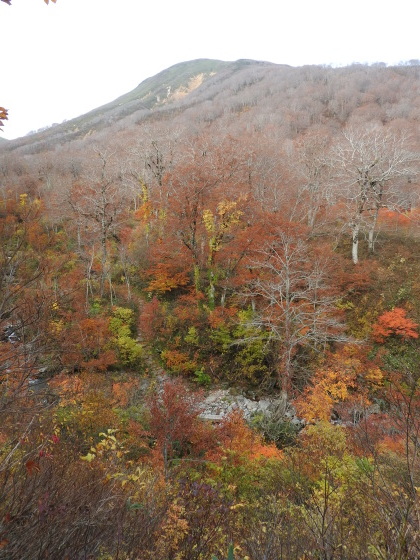 f0118332_01241045.jpg