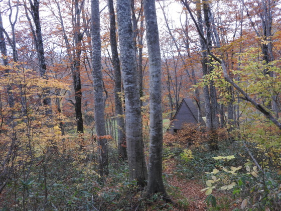 f0118332_01243450.jpg