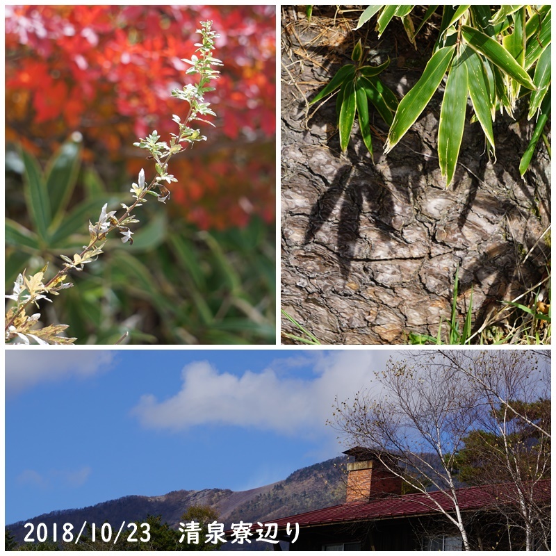 f0120433_23424277.jpg