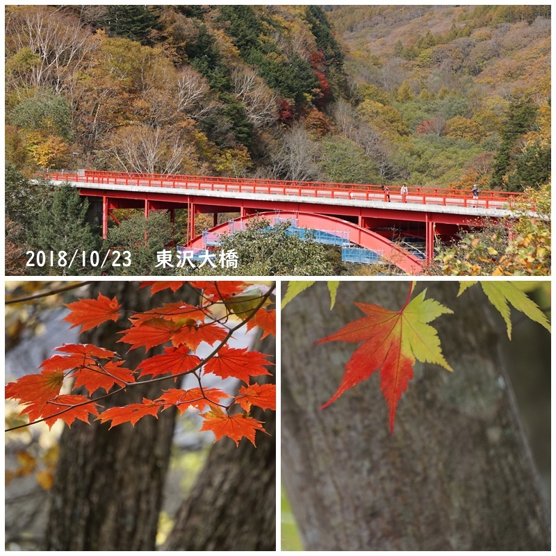 f0120433_23432862.jpg