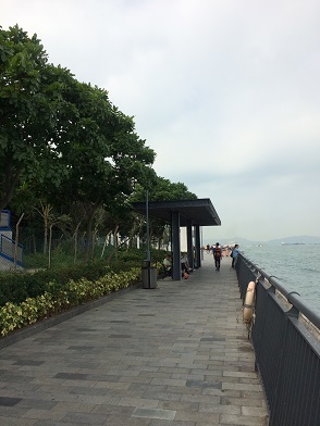 f0371533_22551644.jpg