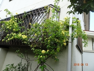 c0147935_16073747.jpg