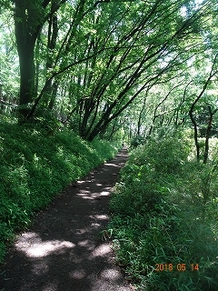 c0147935_16210804.jpg