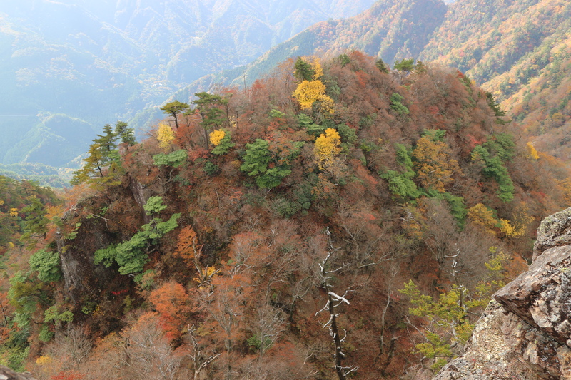 大障子岩＆池ノ原・宮原分岐点縦走路の紅葉（2018/10/27)_e0272335_20255835.jpg