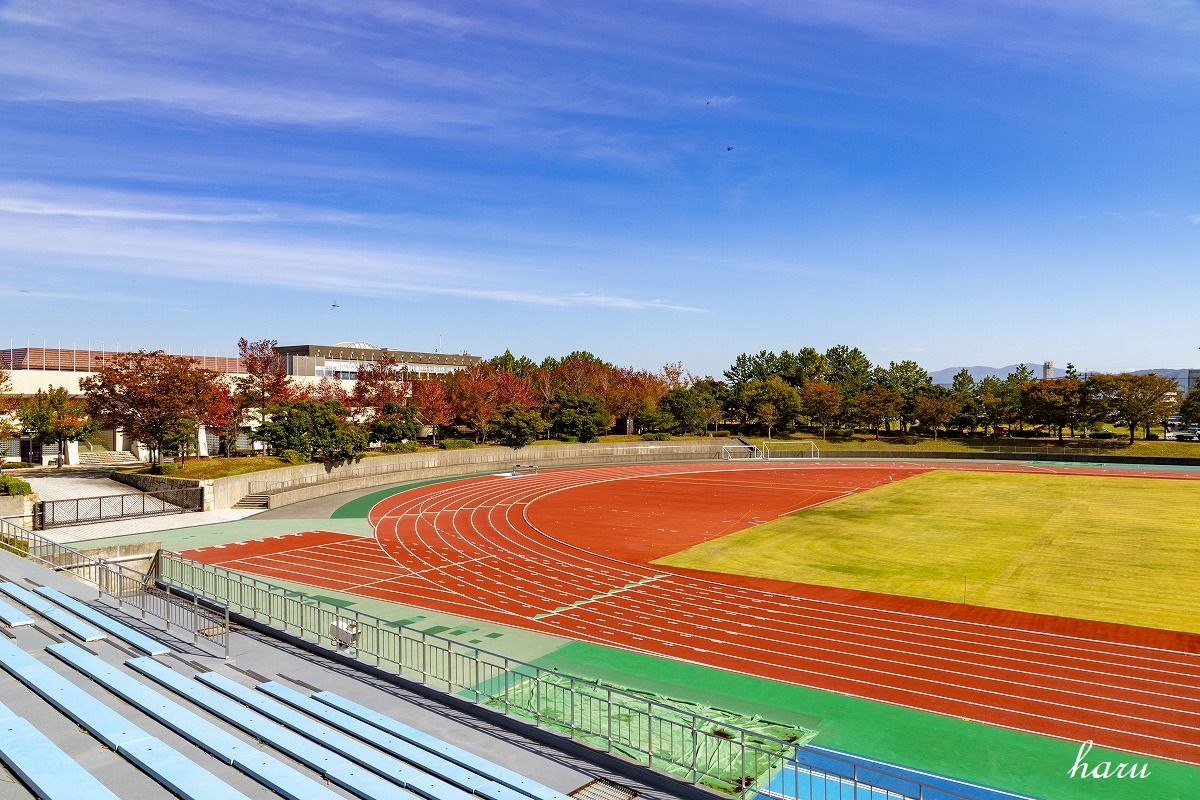 f0297537_09554020.jpg