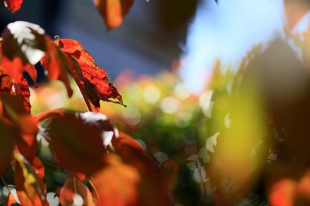 a0242438_20004218.jpg