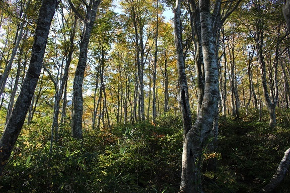 c0077338_07141507.jpg