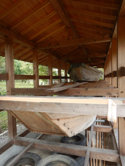 薔薇は咲いているか！？ 最後…かな？（笑）_b0136045_05543834.jpg