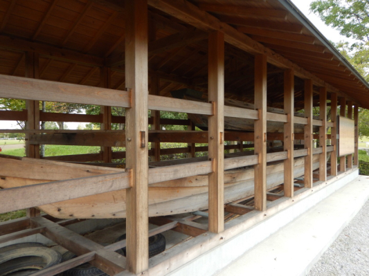 薔薇は咲いているか！？ 最後…かな？（笑）_b0136045_05544022.jpg