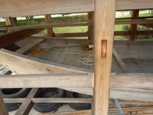 薔薇は咲いているか！？ 最後…かな？（笑）_b0136045_05544212.jpg