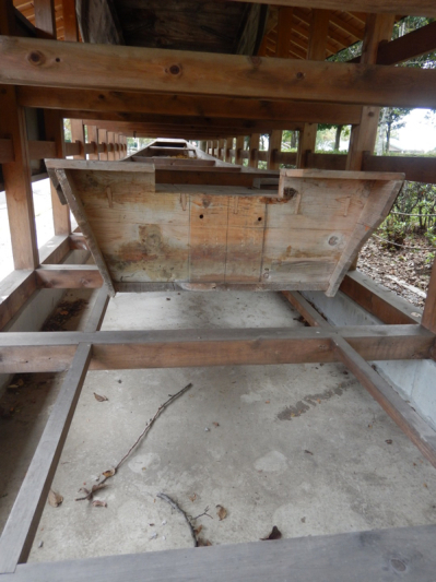 薔薇は咲いているか！？ 最後…かな？（笑）_b0136045_05553531.jpg