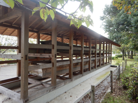 薔薇は咲いているか！？ 最後…かな？（笑）_b0136045_05565071.jpg