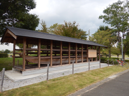 薔薇は咲いているか!? オーラス(笑)_b0136045_17145755.jpg
