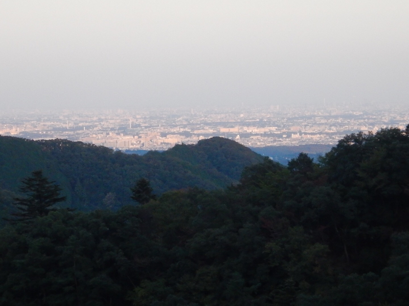 『石田堤サイクリング』以降の諸々の事を写真で語る？スレ…（雑記ナリ…）_b0136045_20482135.jpg