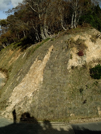 あっと、チョッと、ヒヤッと高島！・・・薪ネットは、晴れる_d0005250_18323821.jpg