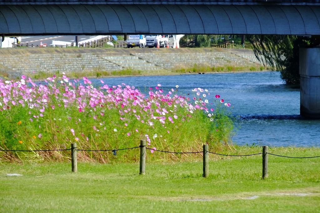 b0236251_09094704.jpg