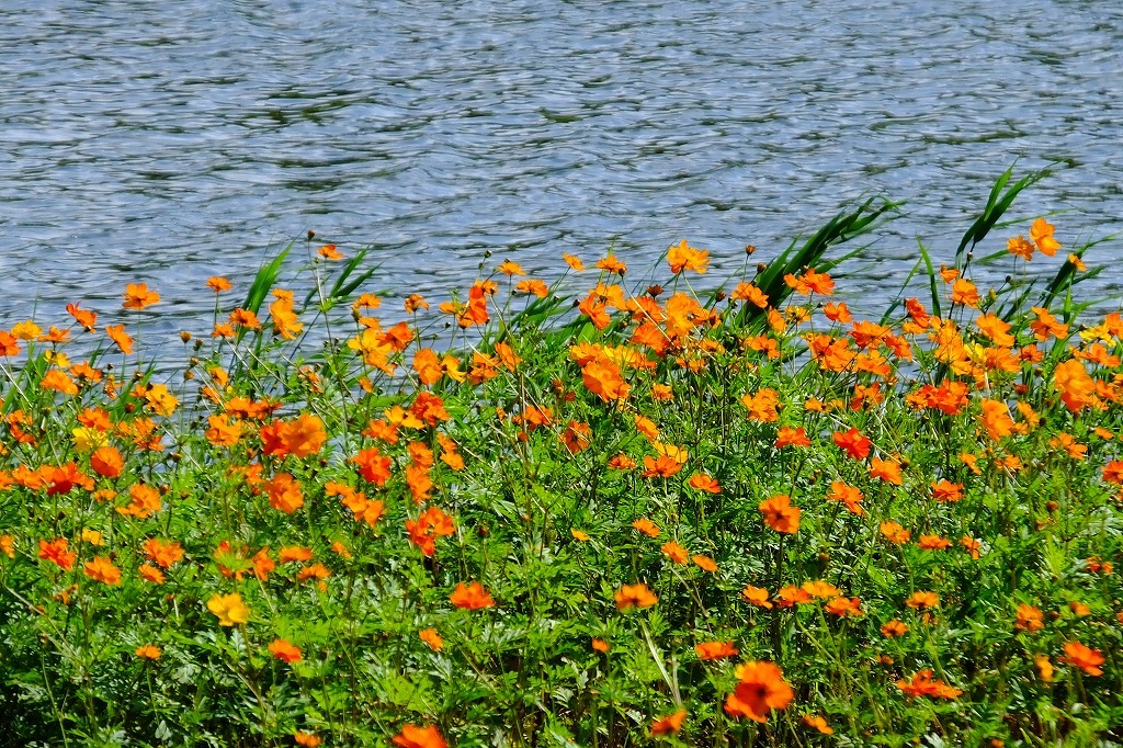 b0236251_09154884.jpg