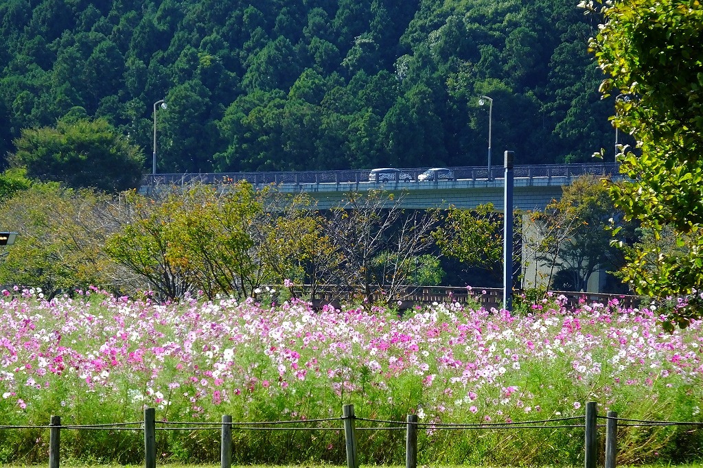 b0236251_09174565.jpg
