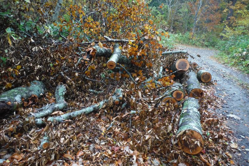 升沢避難小屋のし尿オガクズ降ろし_c0294658_20241232.jpg