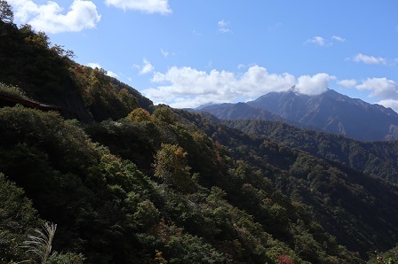 a0208560_17461529.jpg