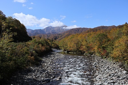 a0208560_17462629.jpg