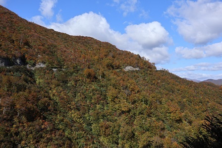 a0208560_17470300.jpg