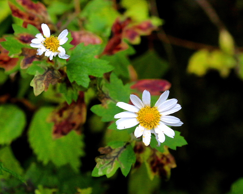 c0305565_17481416.jpg