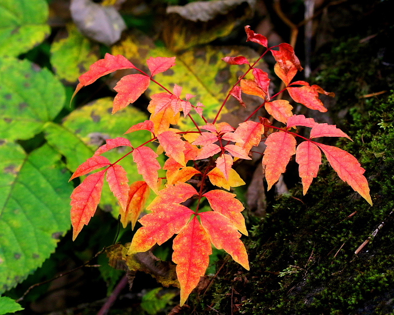 c0305565_17501218.jpg
