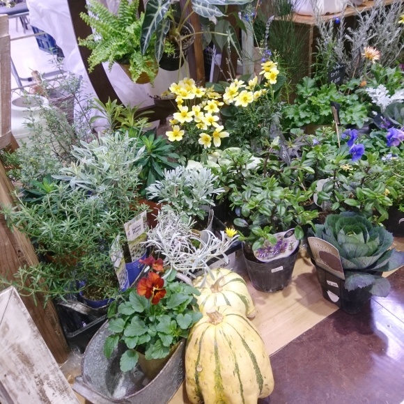 d0162667_20562514.jpeg