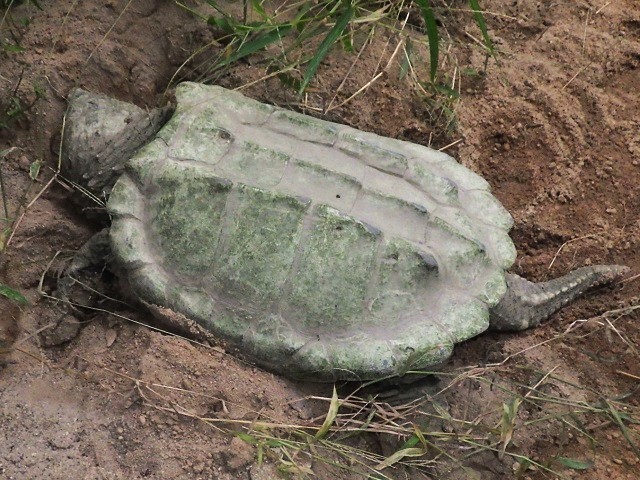 c0105569_00160350.jpg
