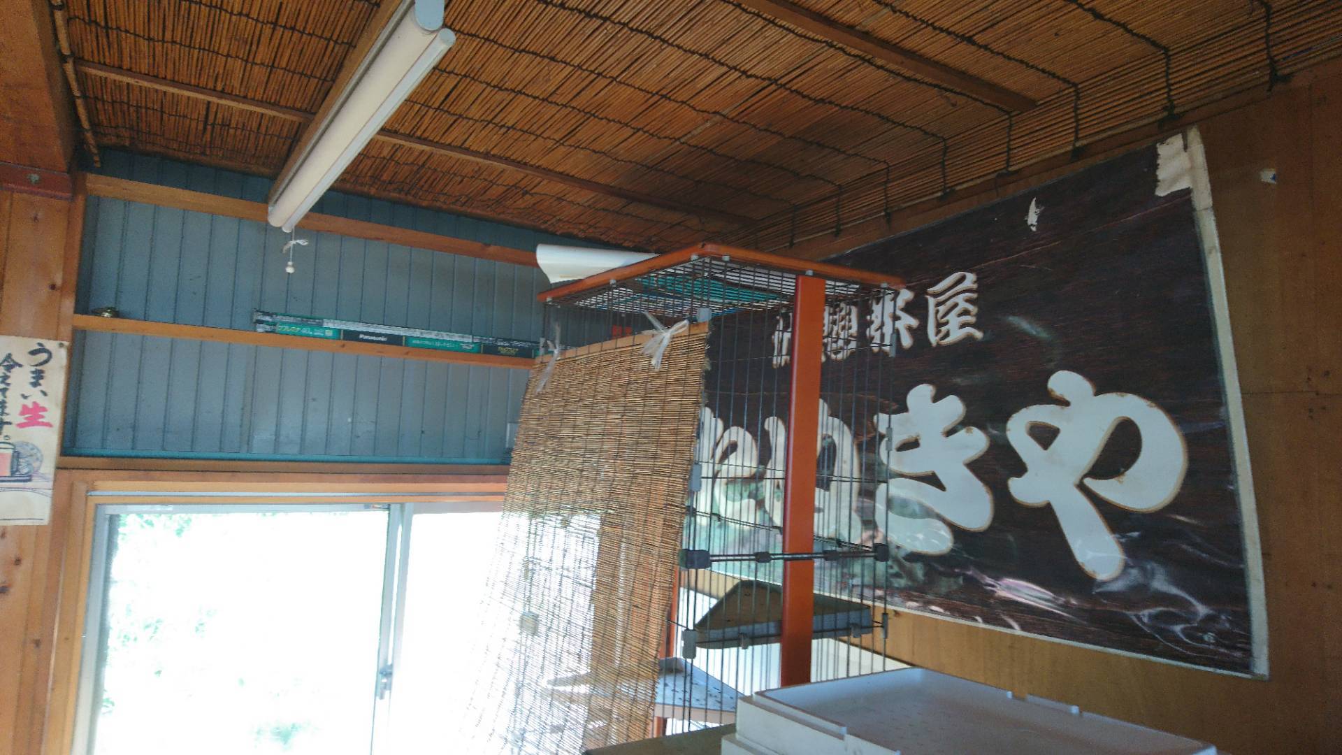 稲田堤・たぬきやの閉店前日の午後の景_c0002171_18152337.jpg