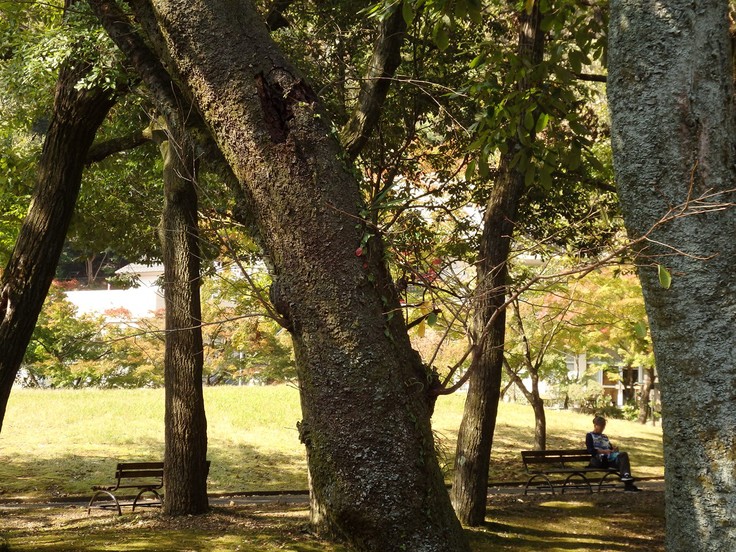 『岩戸森林公園周辺を歩きながら･････』_d0054276_20473666.jpg