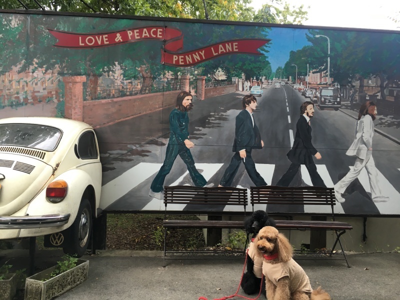 c0283778_21561670.jpeg
