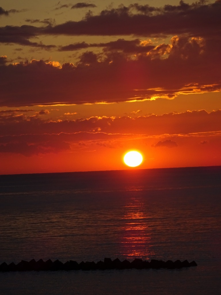 d0061678_13365901.jpg