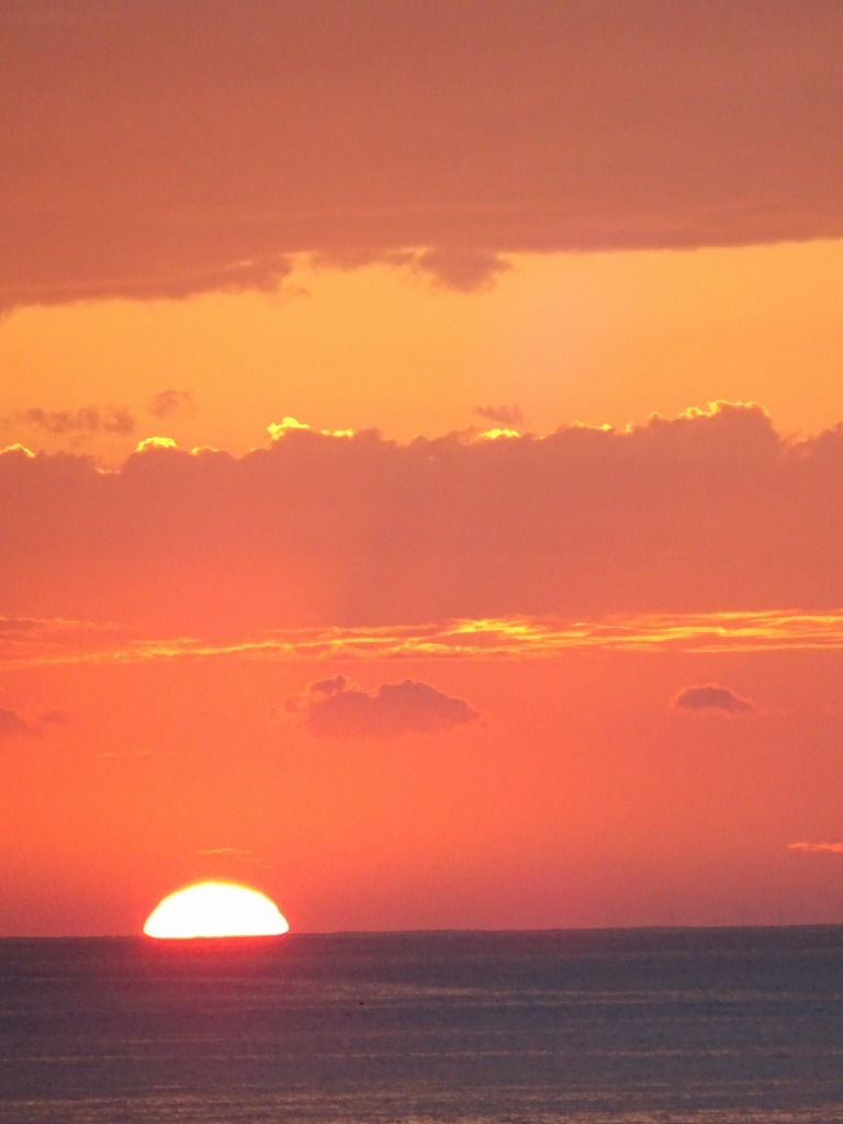 d0061678_13385012.jpg