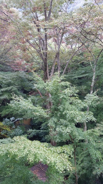 a0049287_14242022.jpg