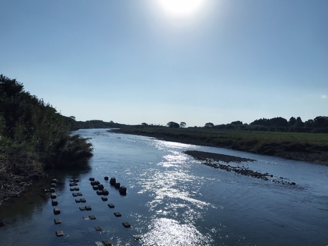 c0184491_16021517.jpg