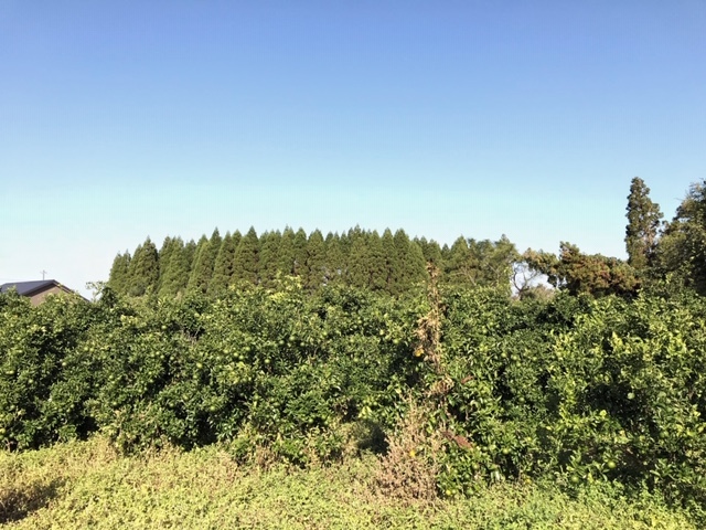 c0184491_16022379.jpg