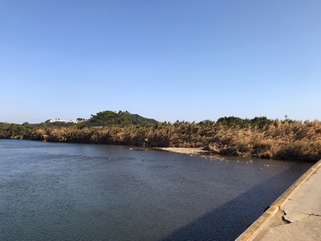 c0184491_16023035.jpg