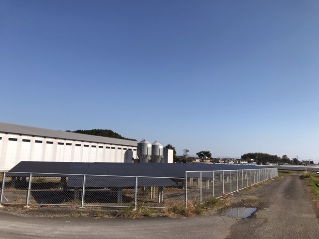 c0184491_16023389.jpg