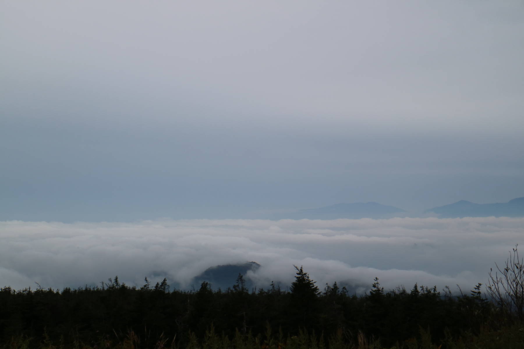 f0075595_20222332.jpg