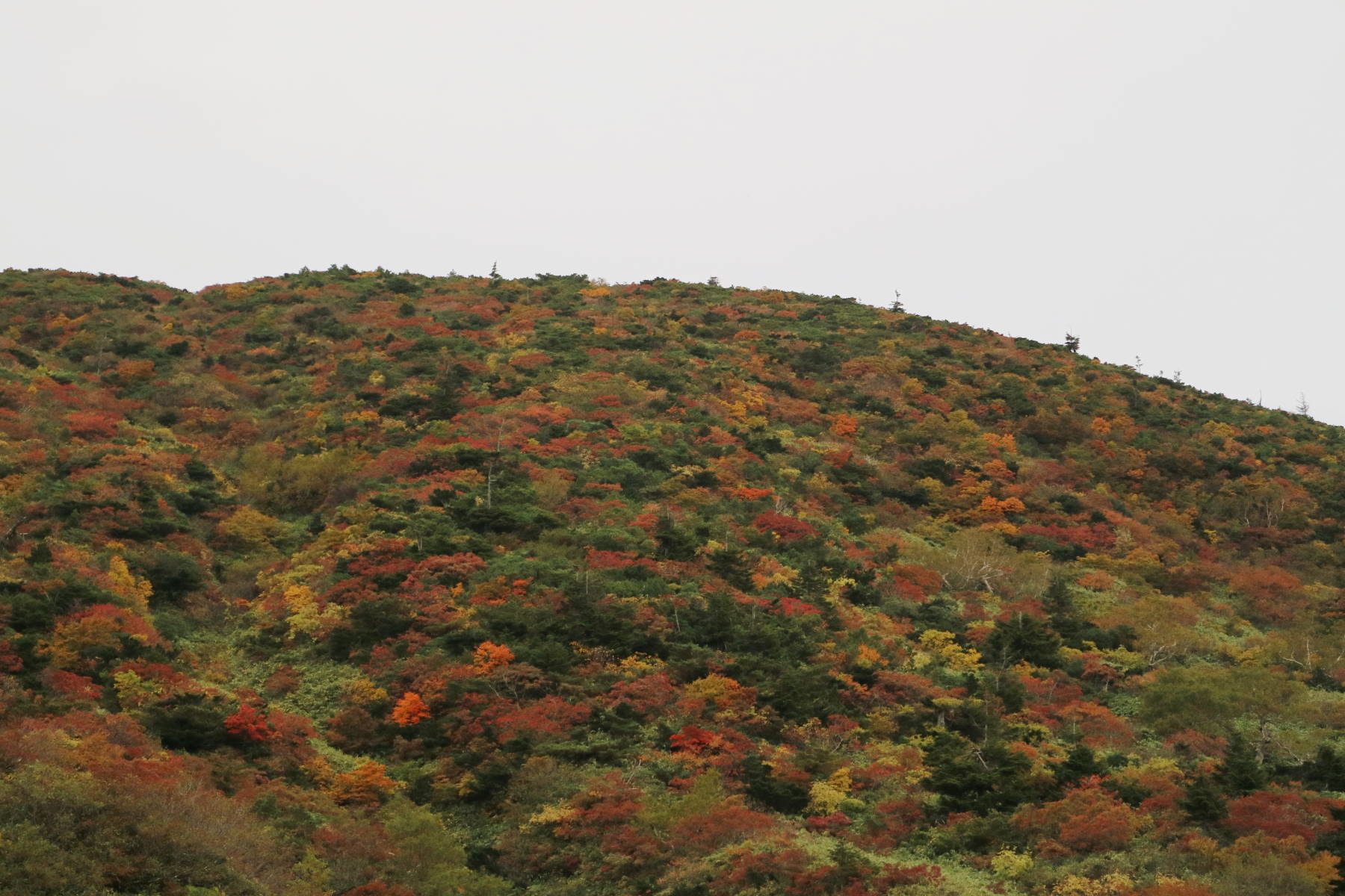 f0075595_20225117.jpg