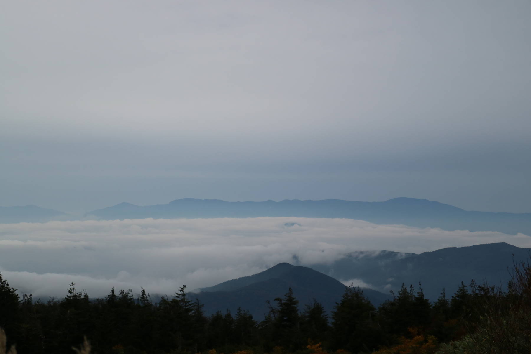 f0075595_20231661.jpg