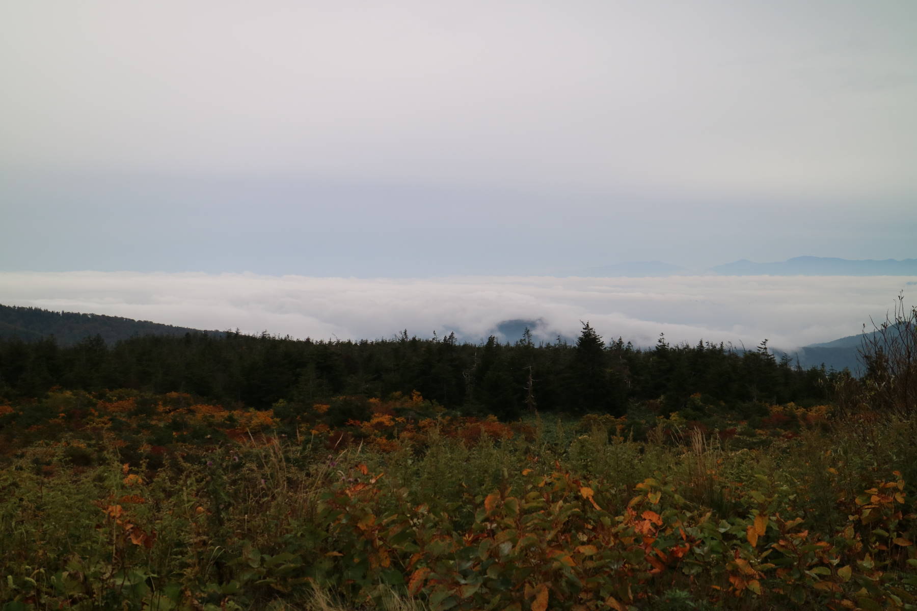 f0075595_20240323.jpg