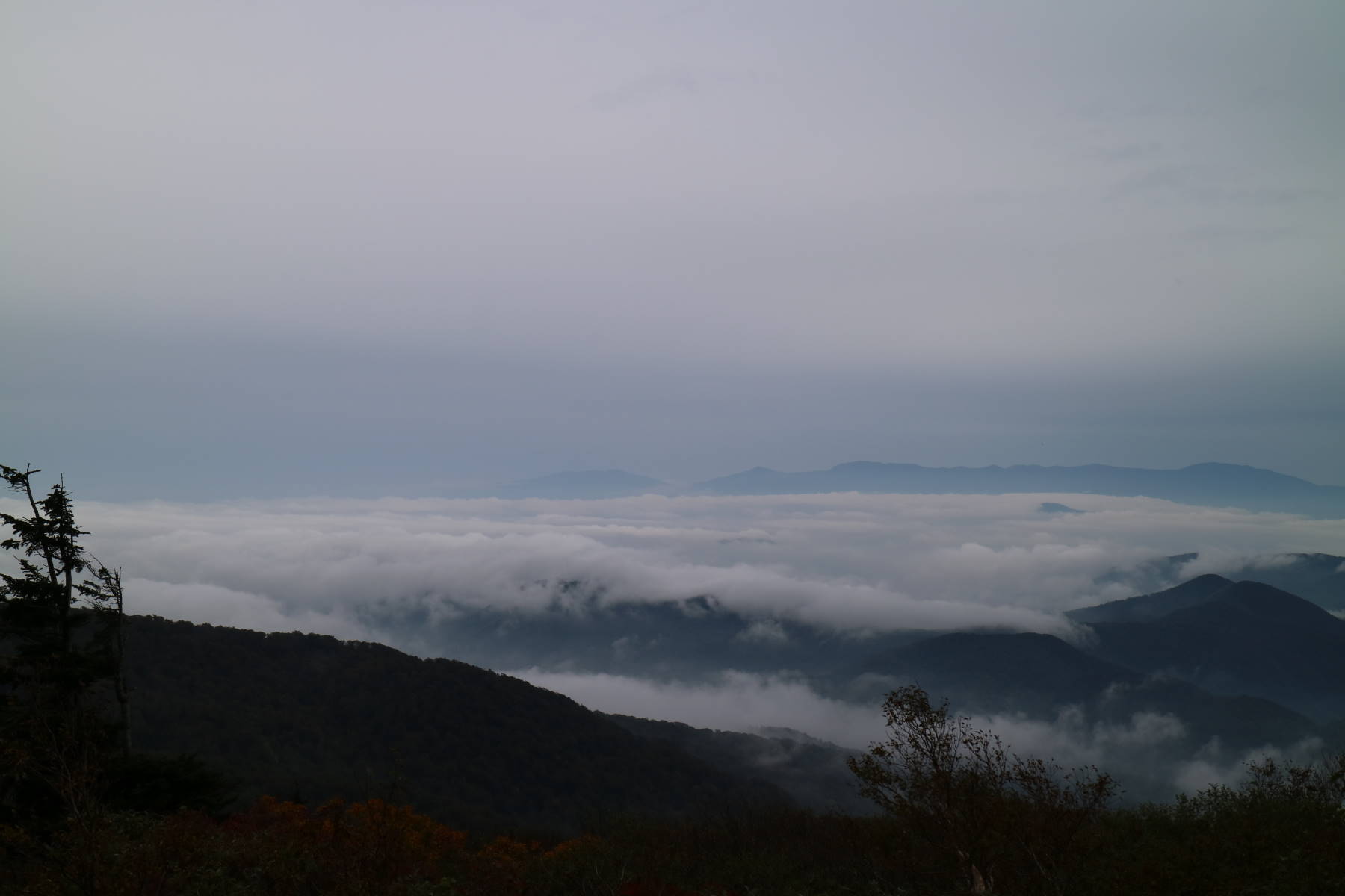 f0075595_20241735.jpg