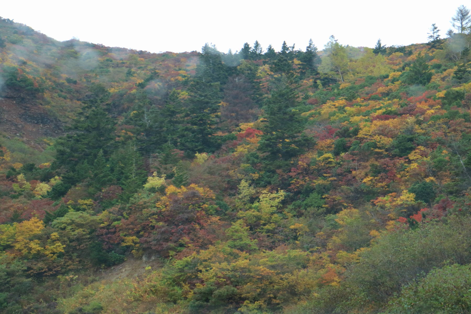 f0075595_20244637.jpg